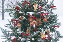 Christmas Tree- Close1a 